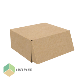 Caja Autoarmable 22,5x19x10cm (Postal 6)