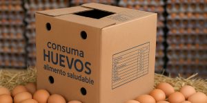 cajas para huevos